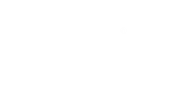 white furniture of america logo